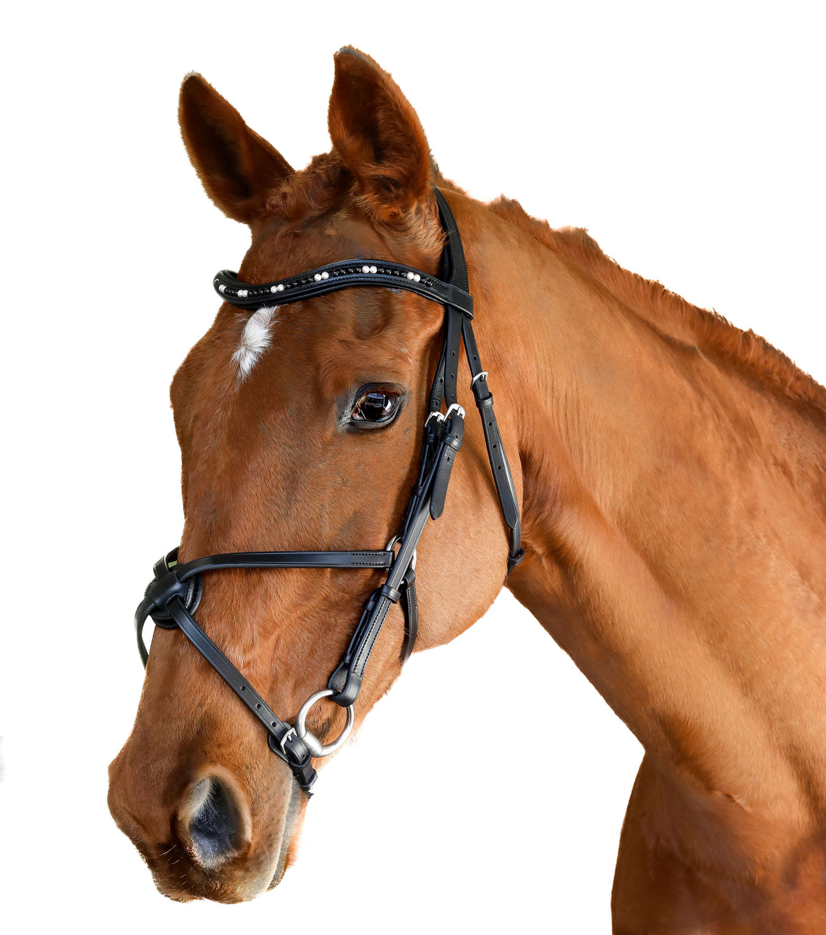Premium Black Snaffle Bridle 'Dante'