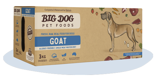 Bigdog Dog Goat