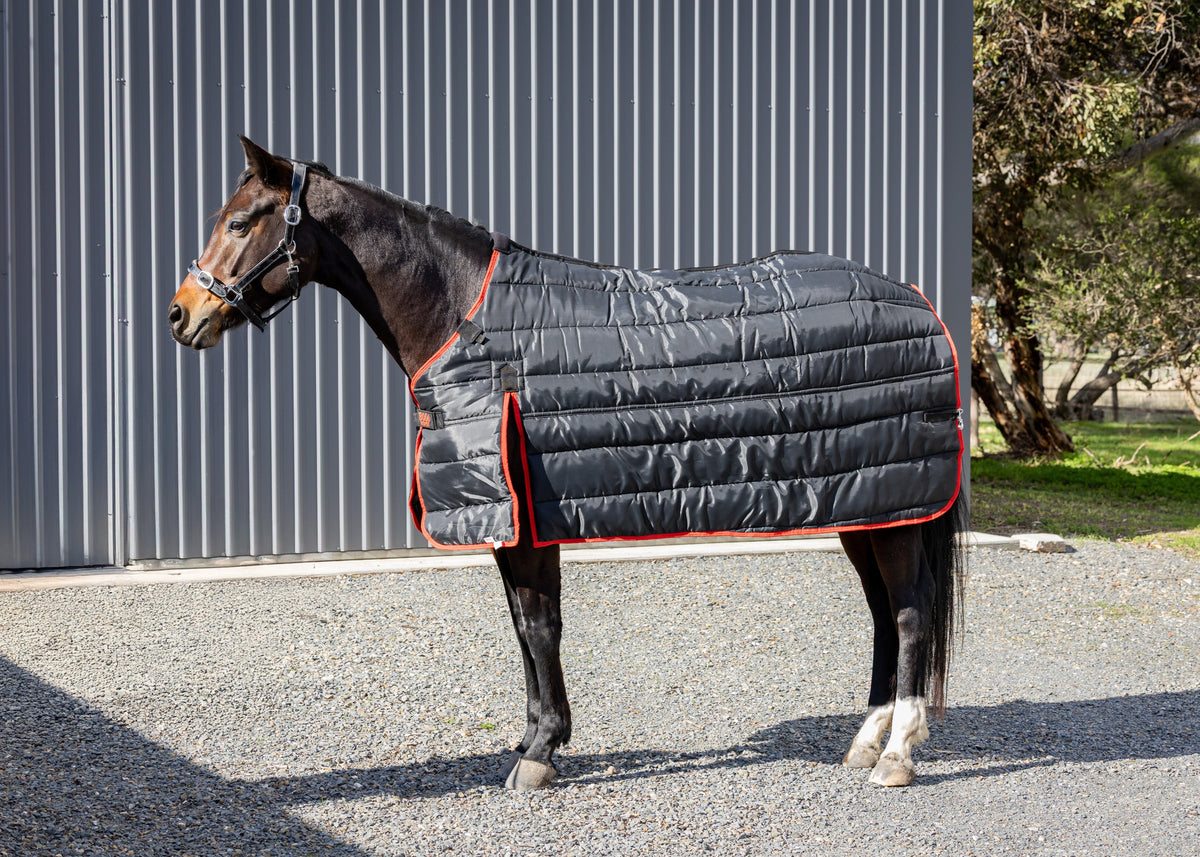 Liner Rug