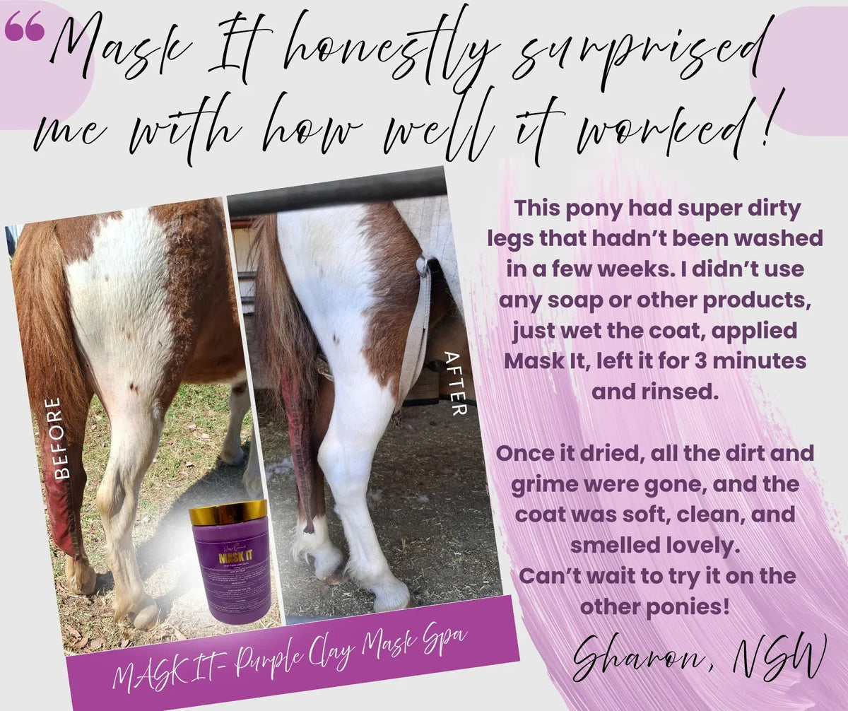 Mask It Purple Clay Mask Spa for Horses | Natural Coat Wash - Horse Queened