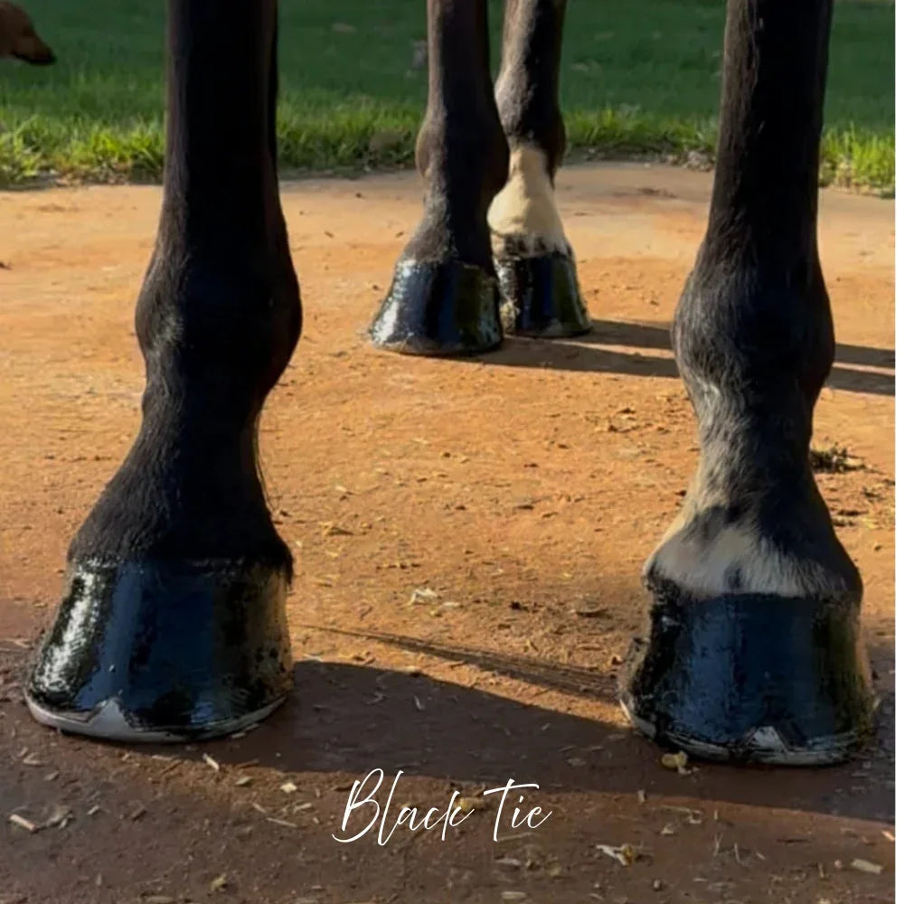 Polish It – Hoof Royalty - Horse Queened
