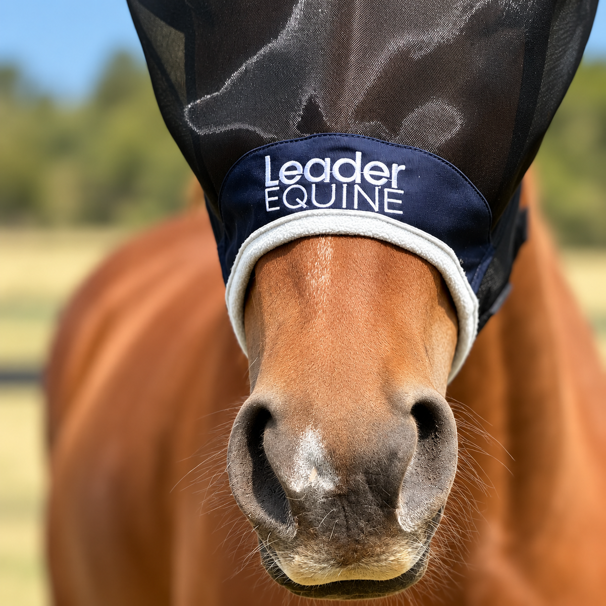 LE Outback Flymask Original