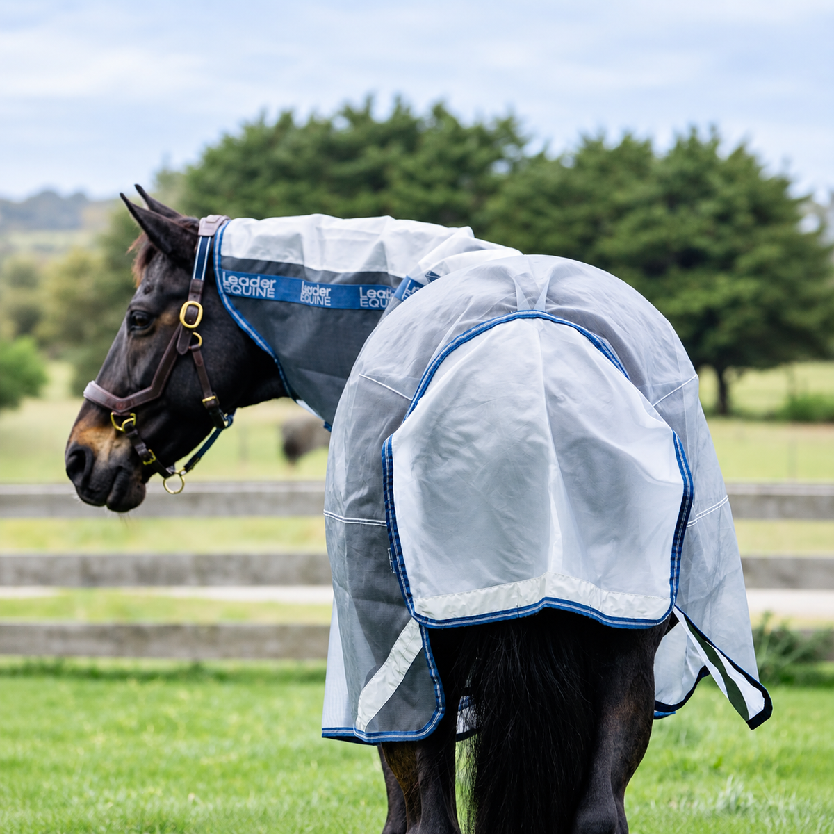 LE Defender Anti-Insect Fly Rug