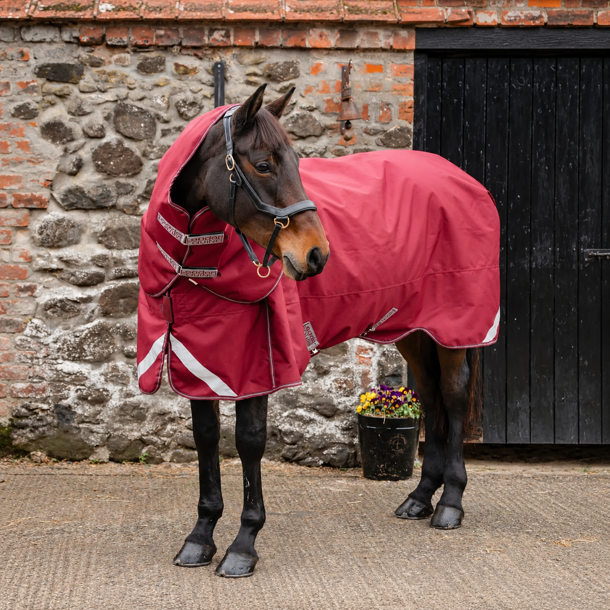 LE Boxter Stable Rug 100g