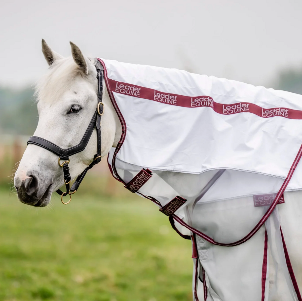 LE Breeze Summer Sheet with Fieldsafe Front