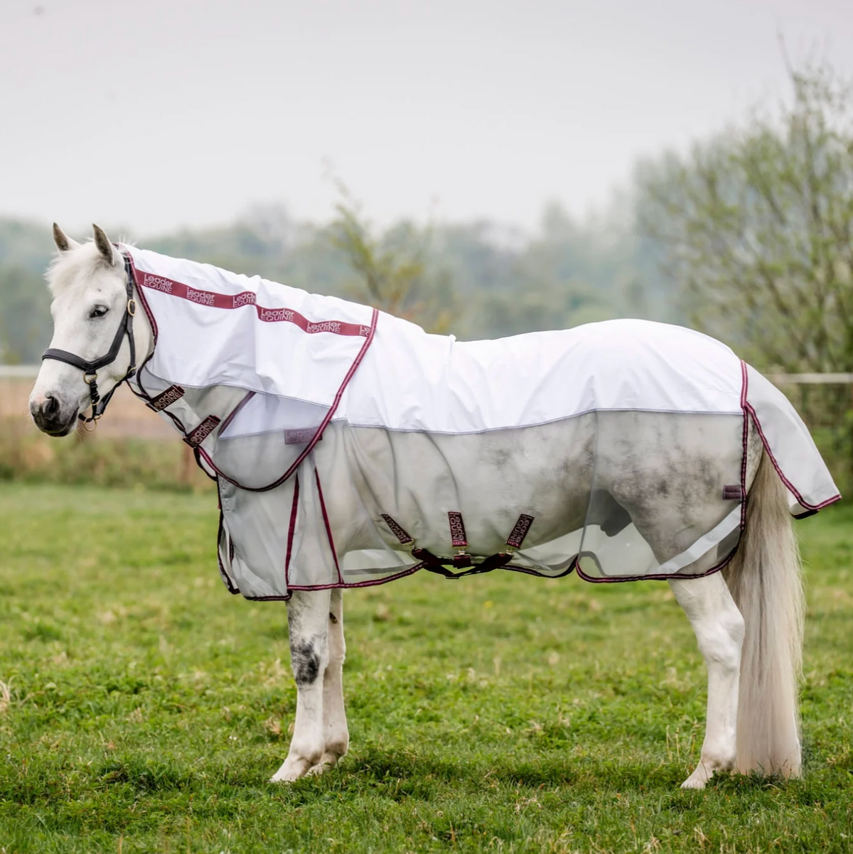 LE Breeze Summer Sheet with Fieldsafe Front