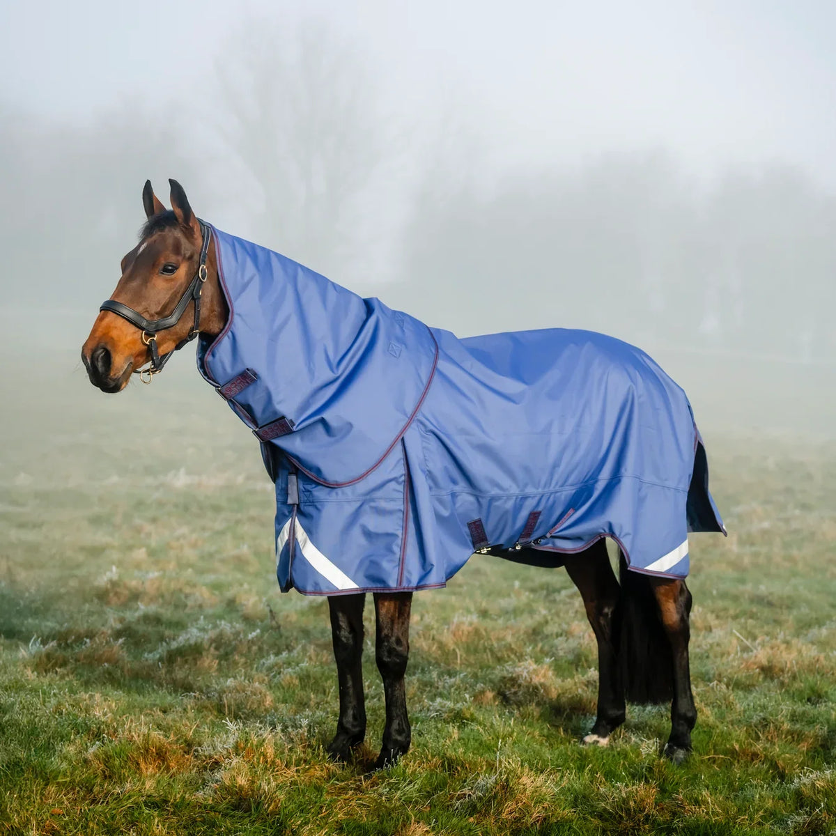 LE Boxter Turnout 0g