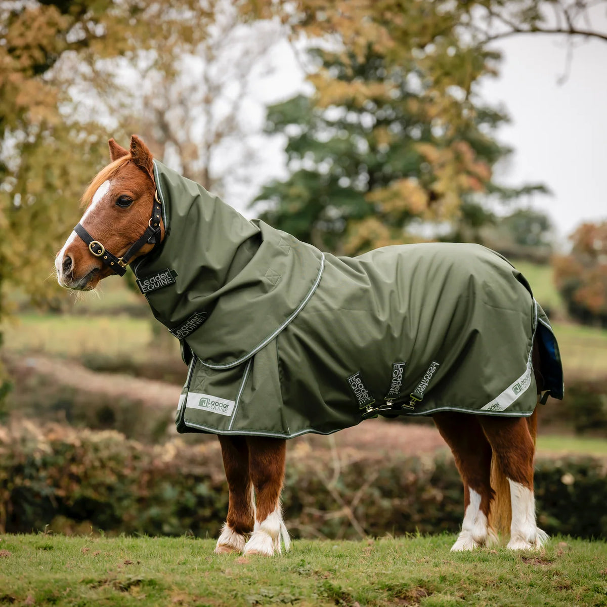 LE Boxter Pony Turnout 50g