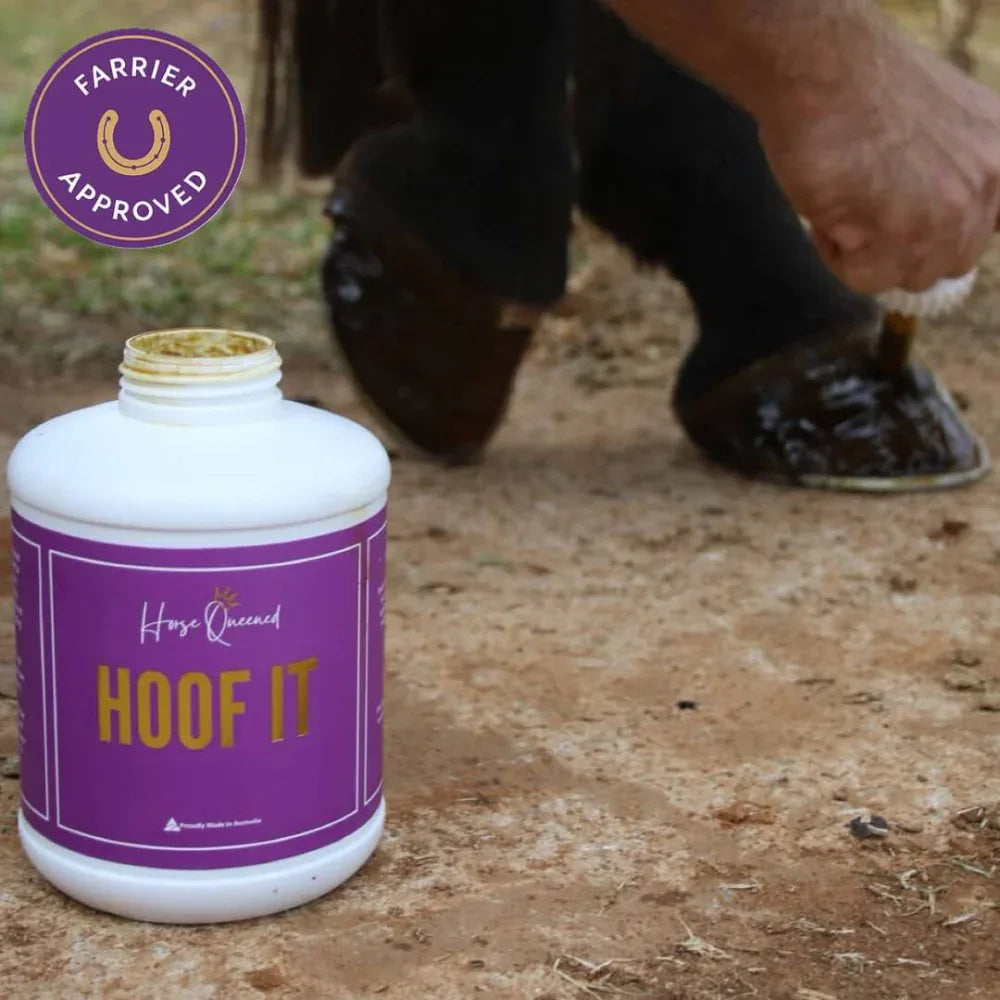 Hoof It – Daily Hoof Conditioning Oil - Horse Queened