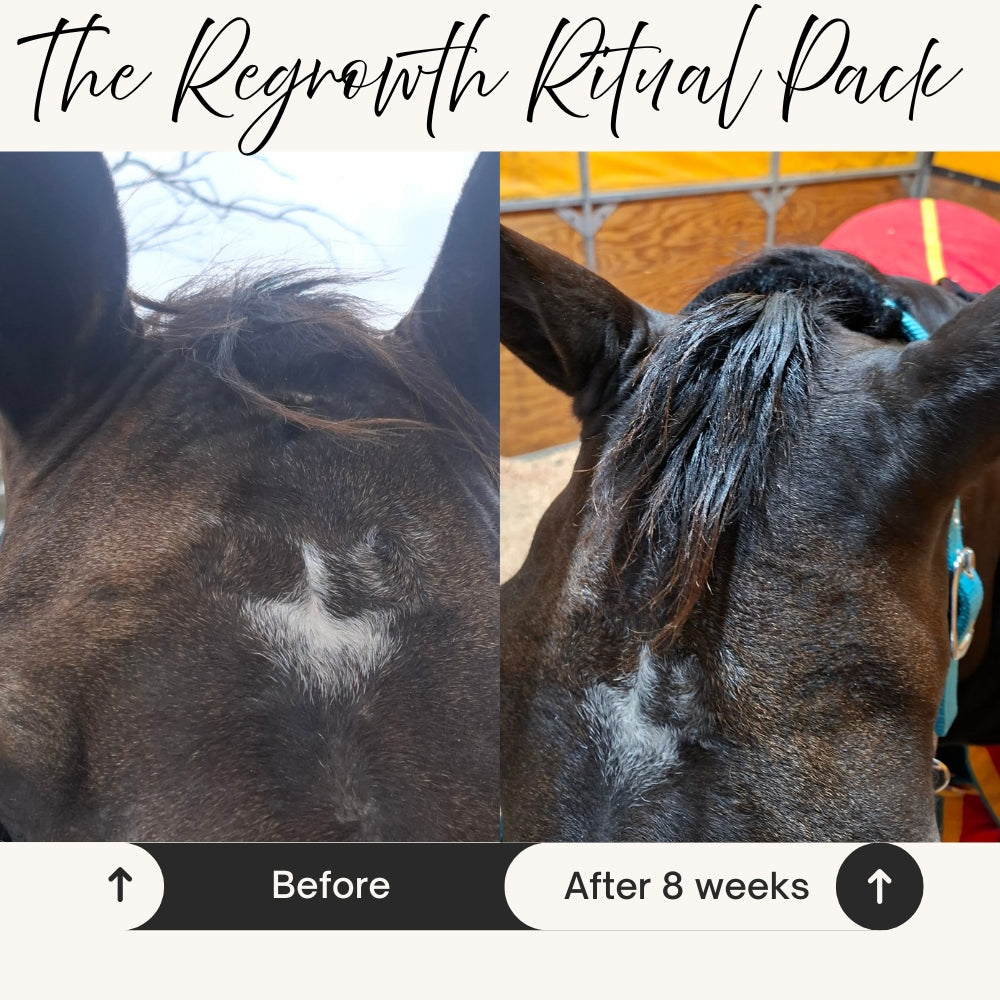 Grow It – Horse Leave-In Mane & Tail Serum | The Regrowth Ritual