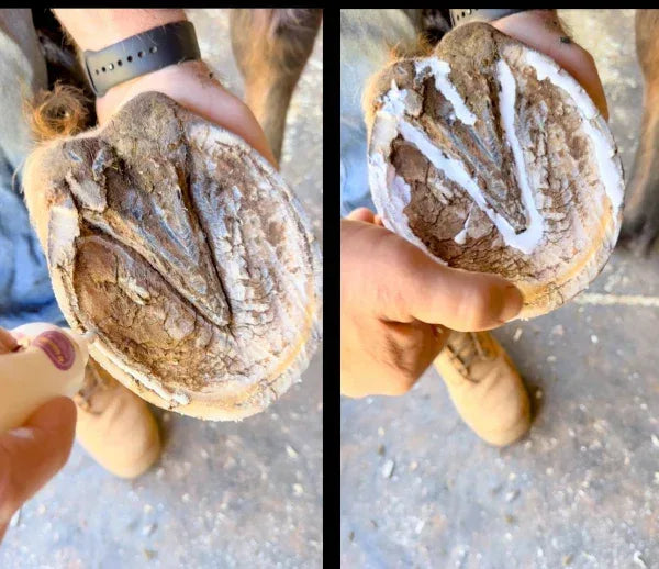 Hoof Rescue Pack – Clean, Conditioned Hooves, Every Day - Horse Queened