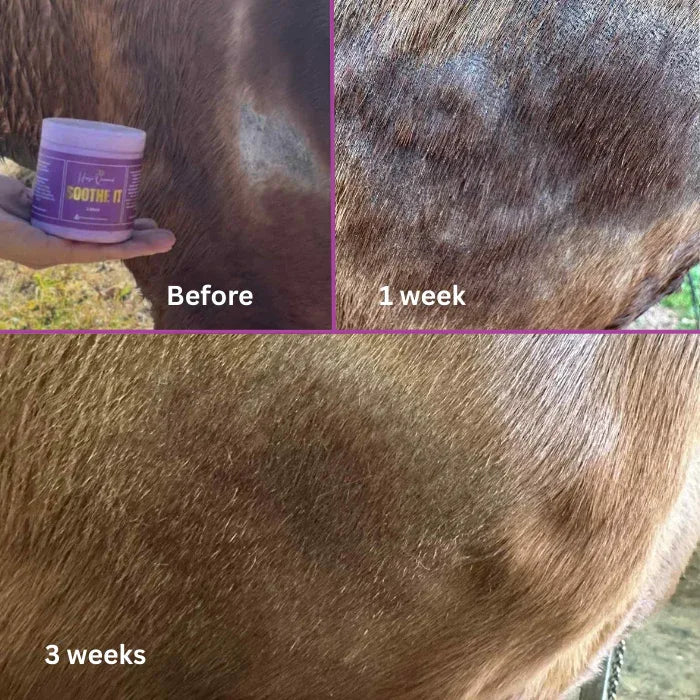 The Regrowth Ritual Pack- Natural Coat, Mane & Tail Care Duo | Soothe It + Grow It - Horse Queened