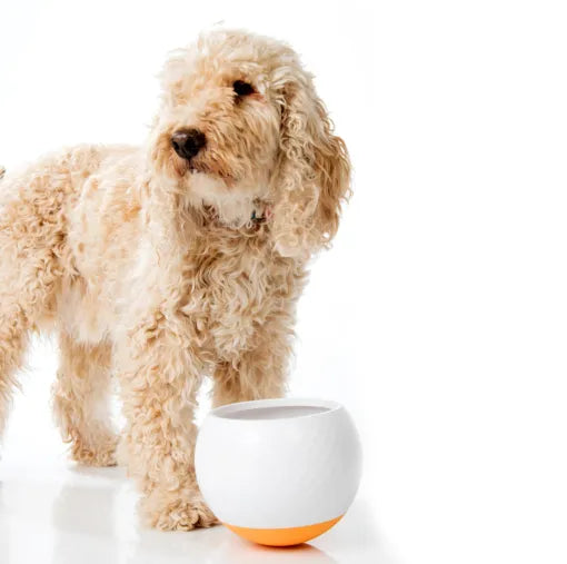 All Fur You Wobbler Slow Feed Bowl