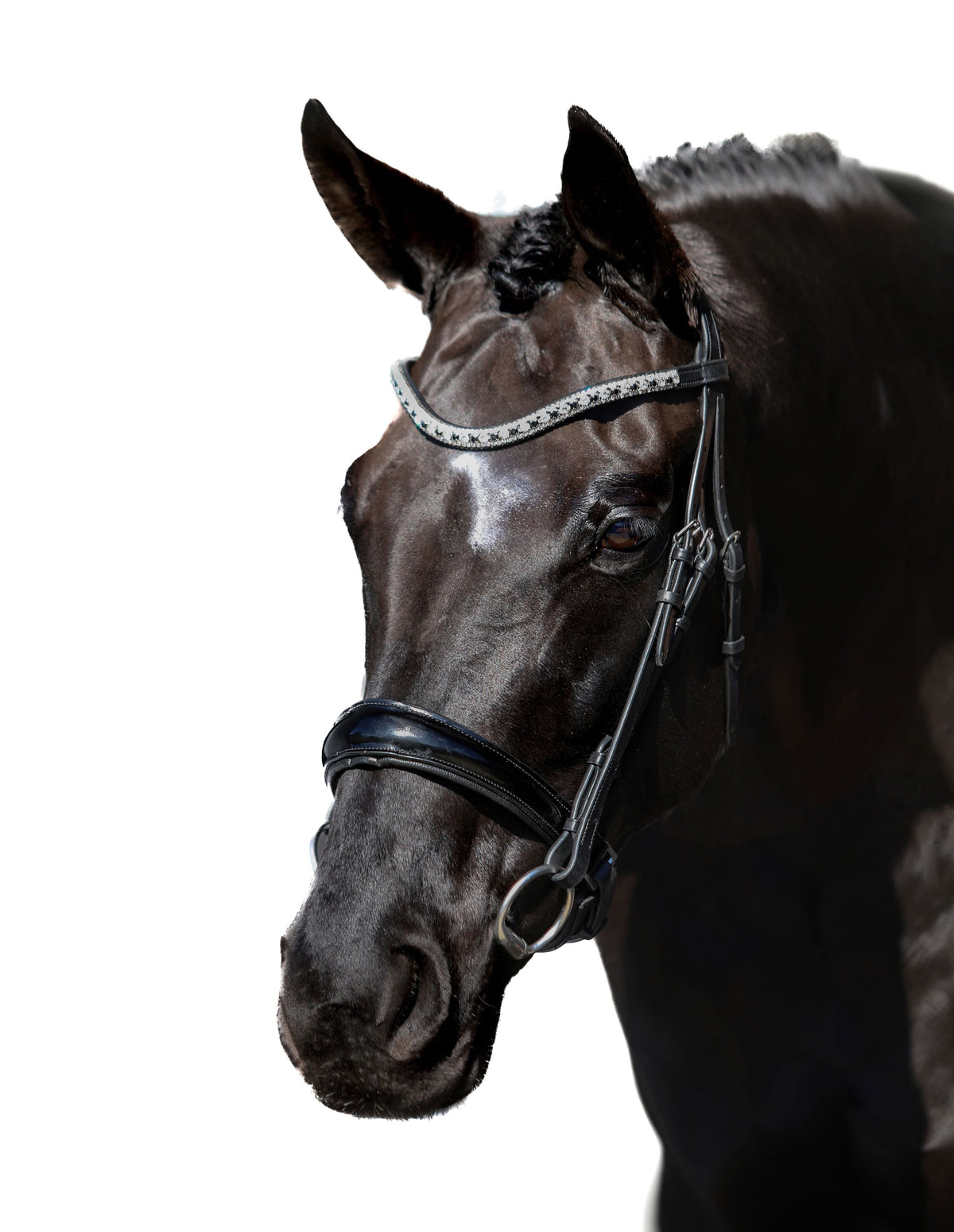 Premium Black Snaffle Bridle 'Eternity'