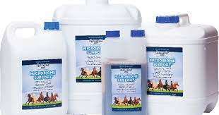 Dynavite Microbiome Support