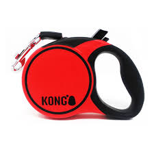 Kong Terrain Retractable Leash Small