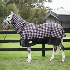 Eureka Bounty Huntar Synthetic Combo Black Plaid