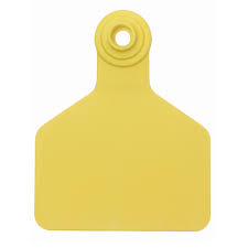 Ztag Z2 No Tear Female Xl