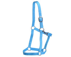 Econo Stable Halter Turquoise