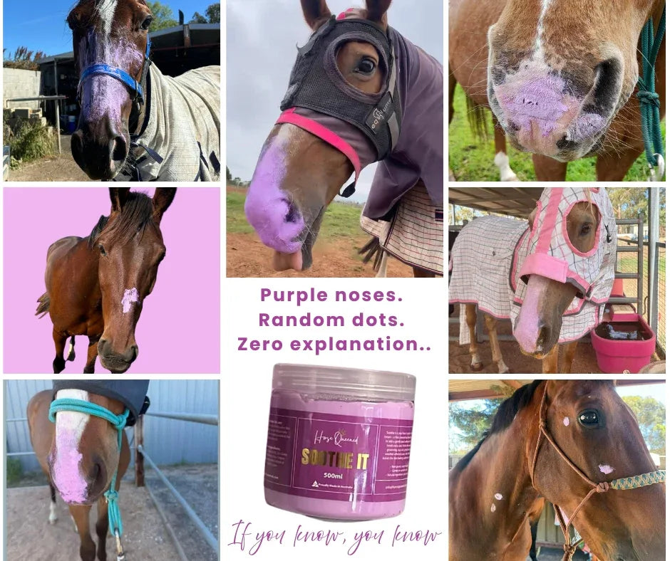 Soothe It – Purple Comfort Cream - Horse Queened