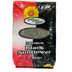 Gvg Black Sunflower