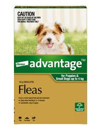 Advantage Spot On For Dogs 0-4kg Fleas 1pk