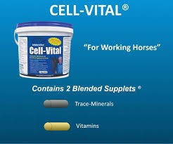 Kohnke's Own Cell Vital