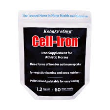 Kohnke's Own Cell Iron