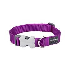 Red Dingo Dog Collar Classic Purple