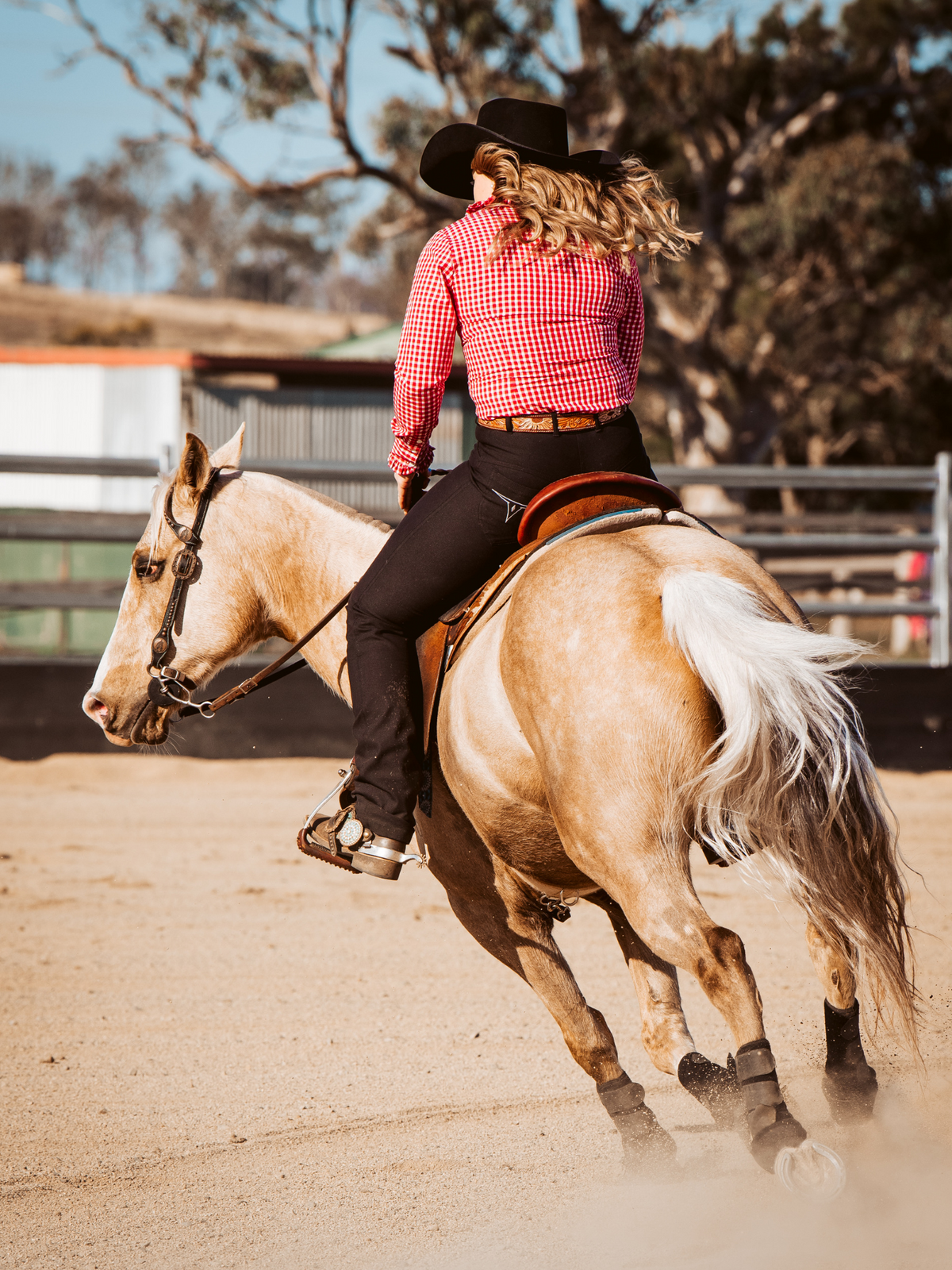 Ladies Roxby riding jeans, black and silver colourway, by Peter Williams Riding Apparel