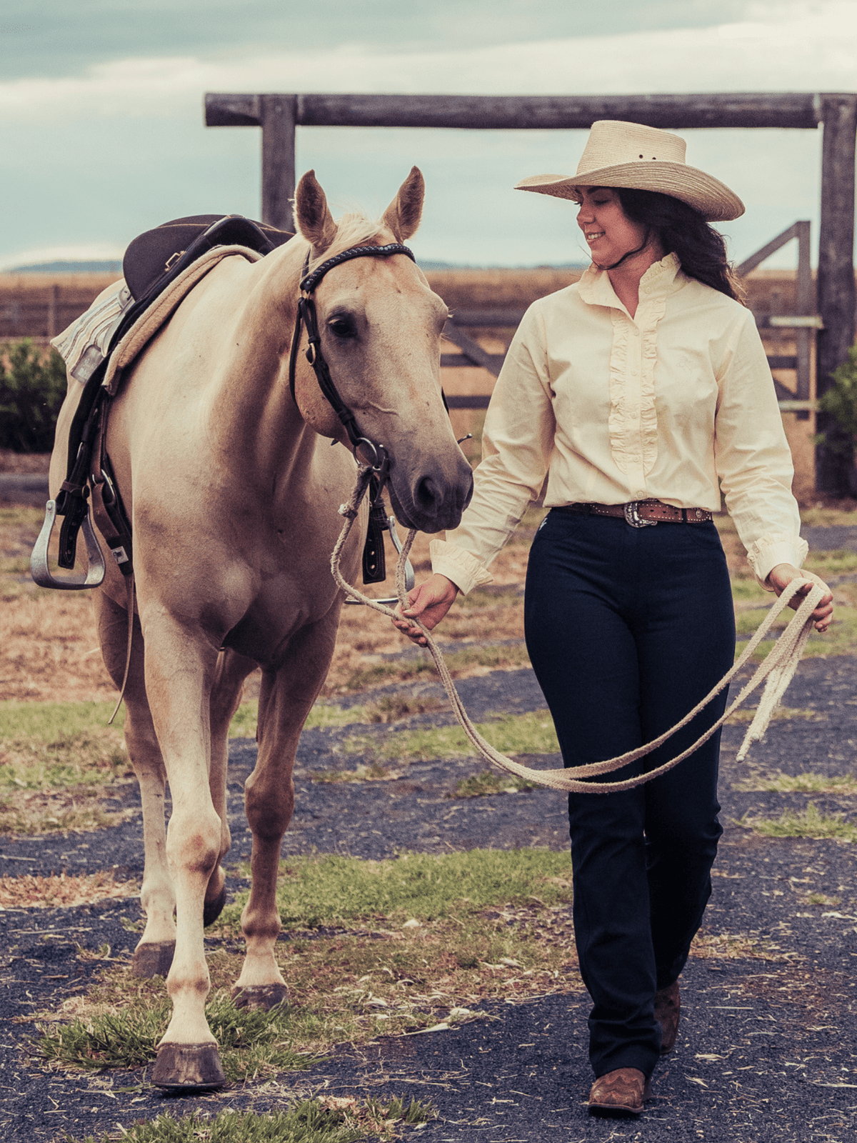 Peter Williams Roxby jeans in navy, stretch denim for barrel racing and western riding