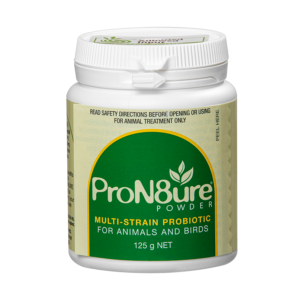 Iah Protexin Powder