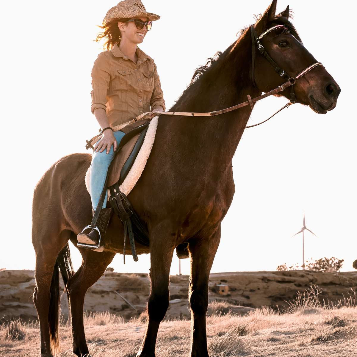 Rider Collection Rider Apparel & Accessories | Shop Online – Page 4 – Horseypeople