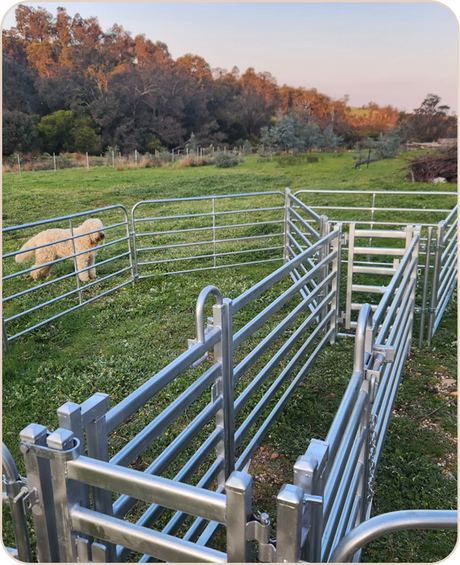 Fencing