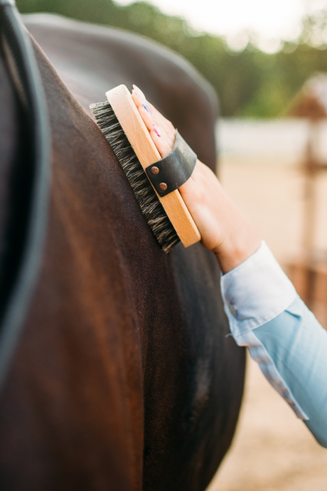 Grooming & Clipping