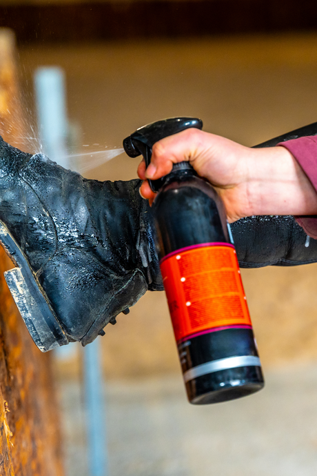 Leather Care