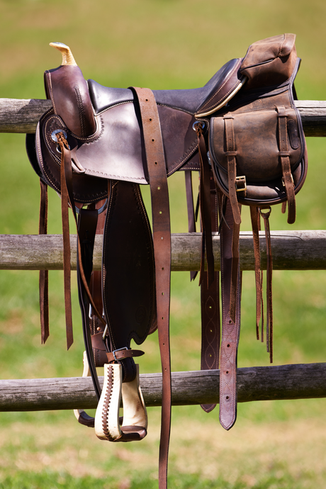 Saddle & Accessories