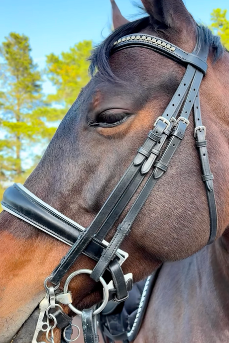Stirrup Irons & Leathers