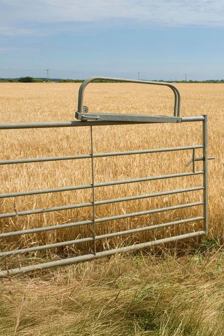 Gates