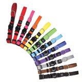 Puppy & Kitten Collar Pack