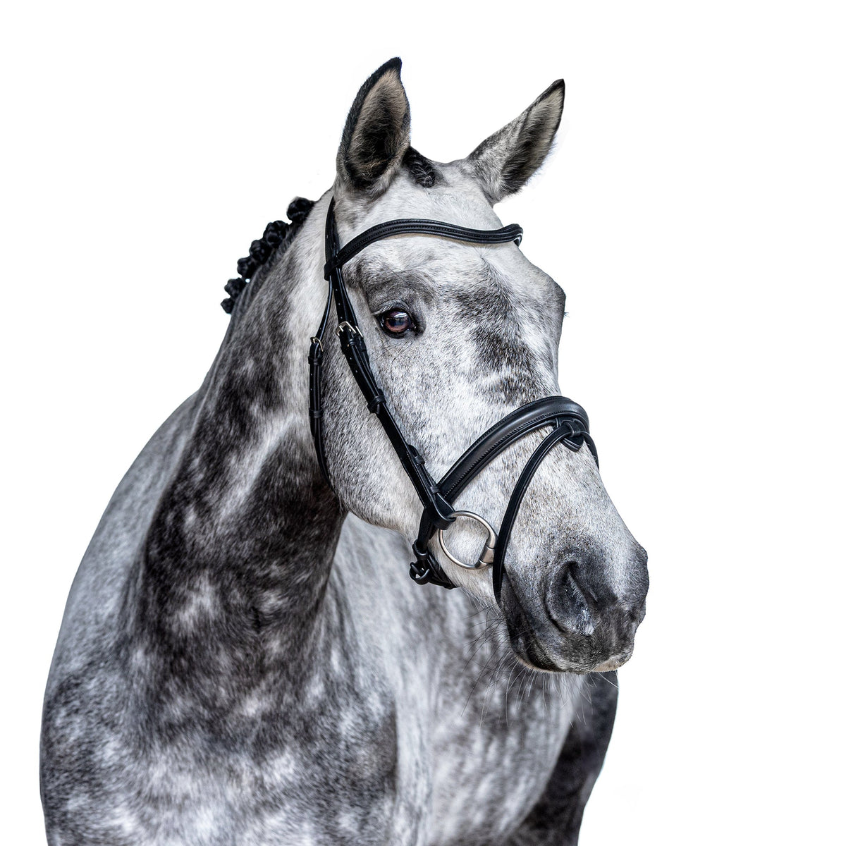 Premium Black Snaffle Bridle 'Luna'