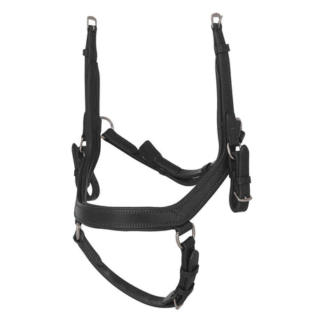 2 in 1 Comfort Noseband - Black - Flexible Fit Equestrian Australia