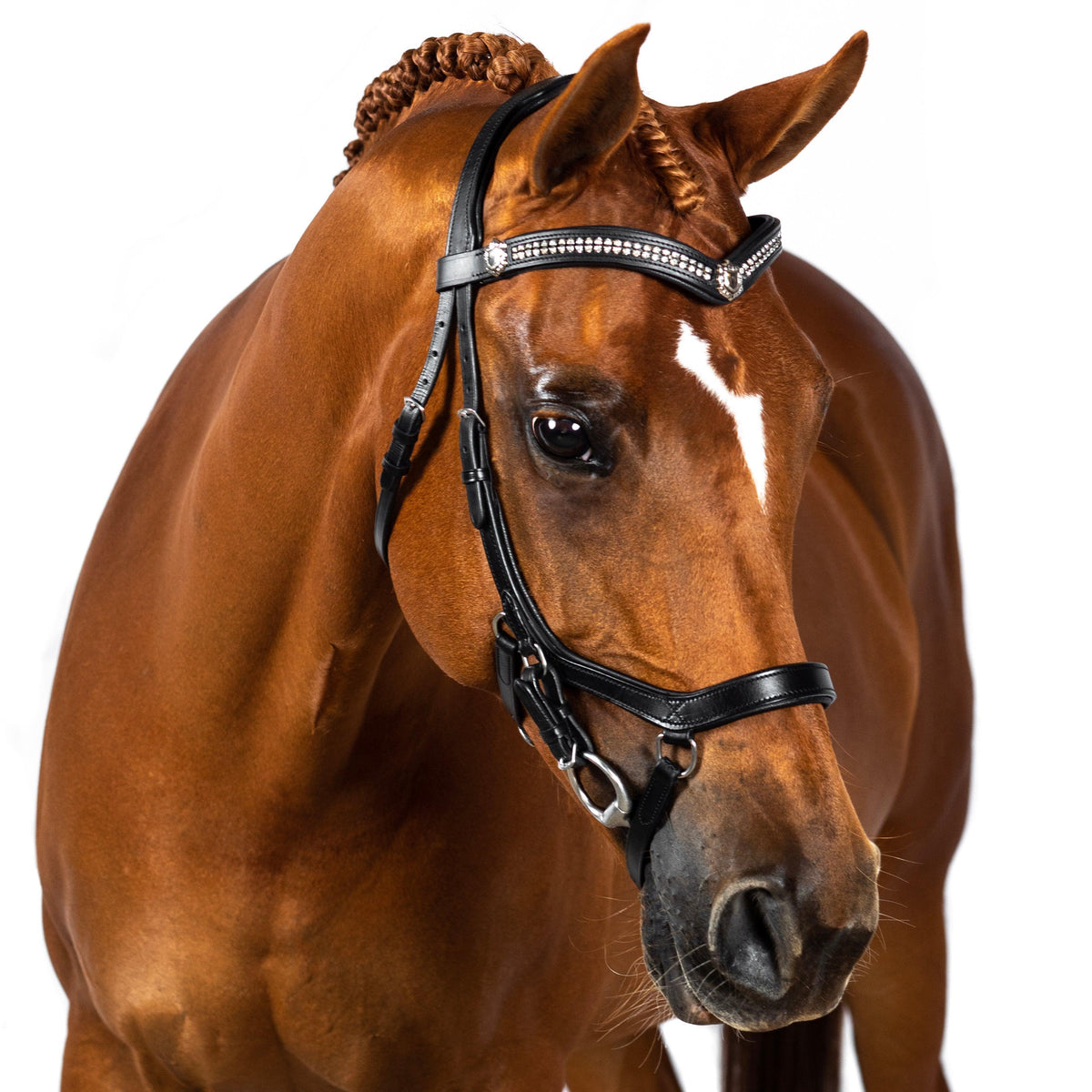 2 in 1 Comfort Noseband - Black - Flexible Fit Equestrian Australia