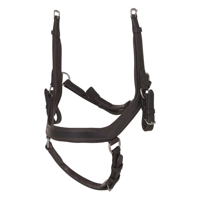 2 in 1 Comfort Noseband - Havana - Flexible Fit Equestrian Australia