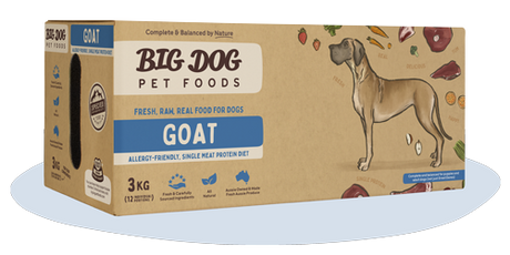Bigdog Dog Goat
