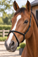Zilco Rubber Figure 8 Noseband