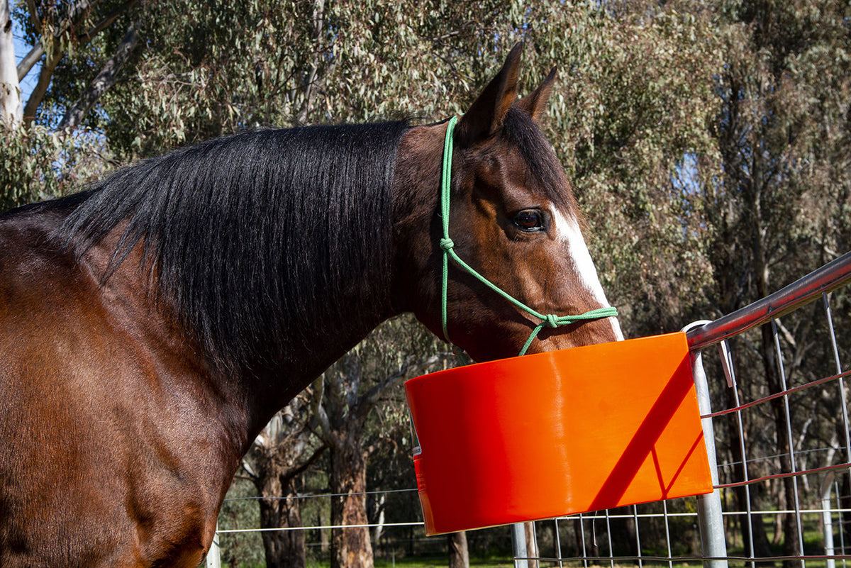 Agboss Stable D Feeder