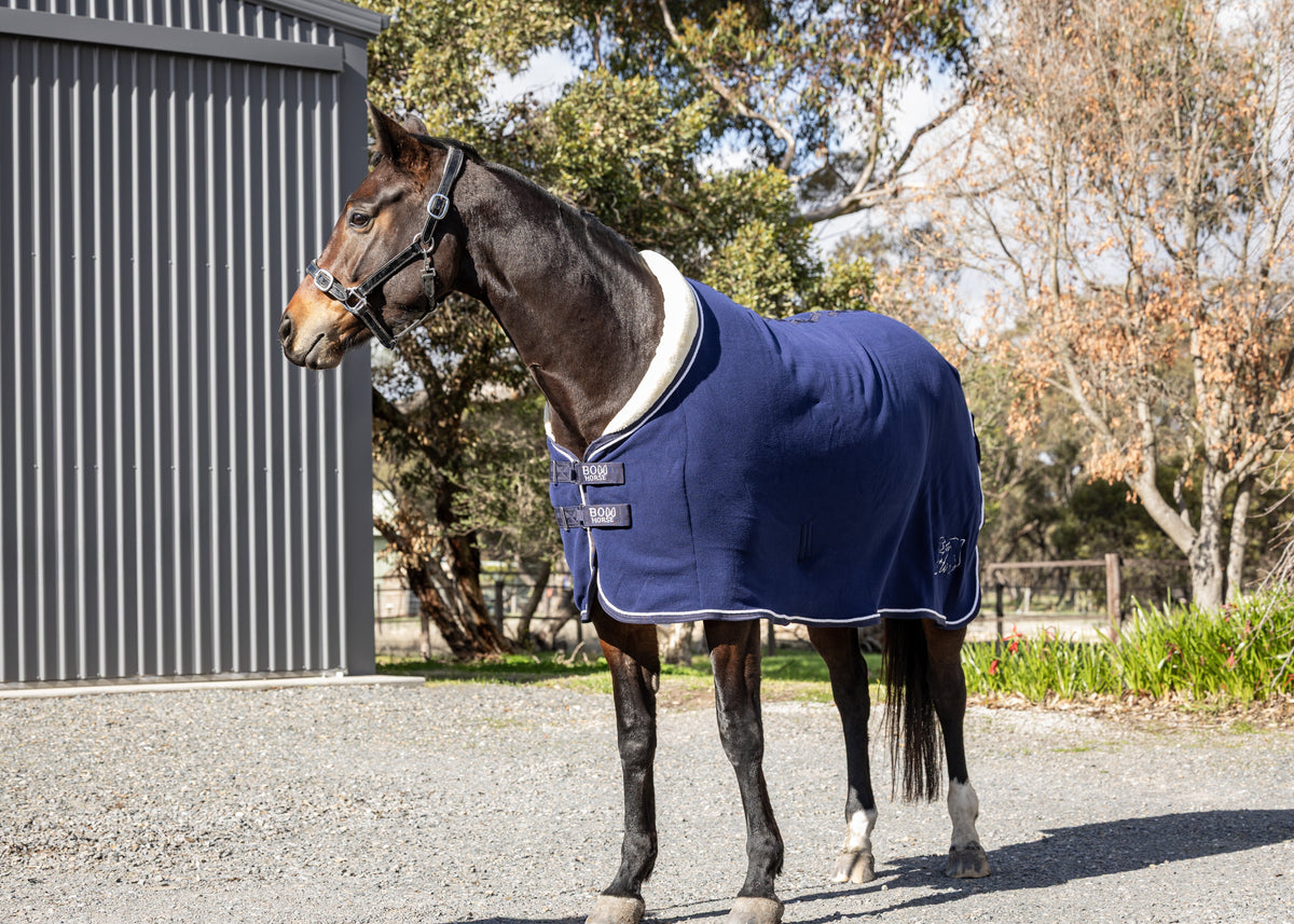Fleece Show Rug