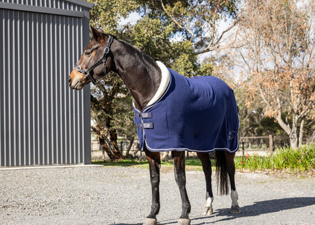 Fleece Show Rug