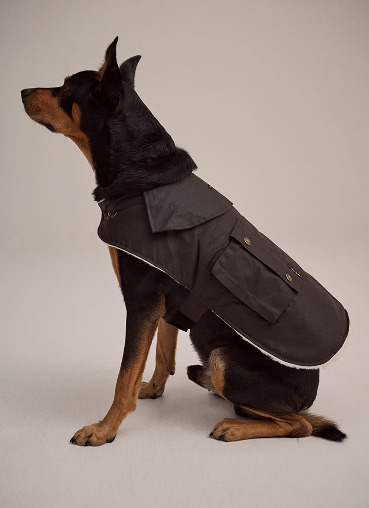 Driza-bone Ashfield Shepa Dog Coat